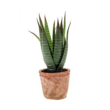 Aloe variegata synthétique MARTINEZ en pot en terre cuite, vert, 20cm, Ø17cm