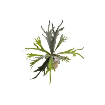 Fougère corne de cerf artificielle MARLEY en pot en terre cuite, vert, Ø50cm