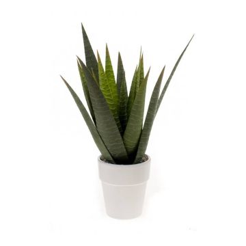 Aloe Variegata en plastique MARTINEZ, pot en céramique, vert, 30cm, Ø17cm