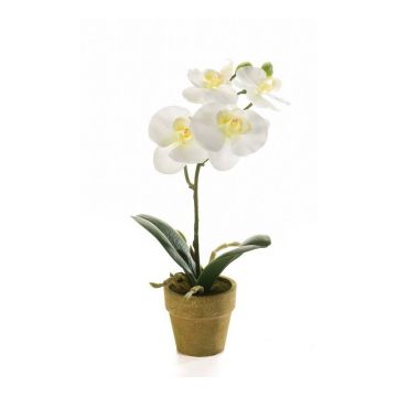 Orchidée Phalaenopsis artificielle SETH en pot décoratif, crème, 25cm