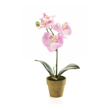 Orchidée Phalaenopsis artificielle SETH en pot décoratif, rose, 25cm