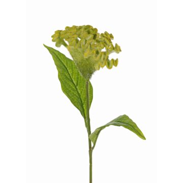 Célosie artificielle ANUBIS, vert-jaune, 60cm, Ø13cm