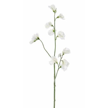 Fleur artificielle Lathyrus ASFALOTH, blanc, 65cm