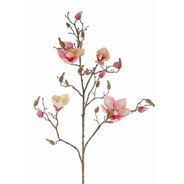 Magnolia en soie LORA, crème-rose, 110cm, Ø10-12cm