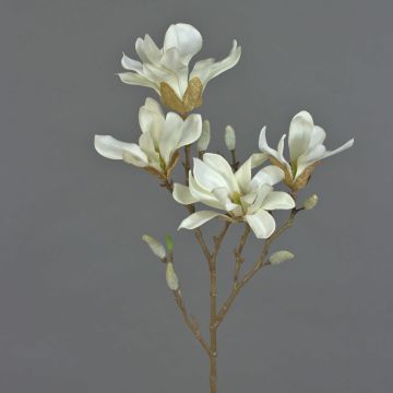 Magnolia étoilé artificiel AZULA, crème, 60cm, Ø7-9cm
