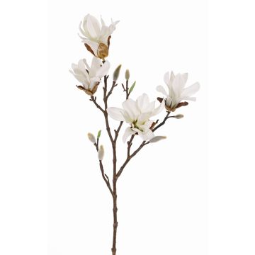 Magnolia étoilé artificiel AZULA, crème, 60cm, Ø7-9cm