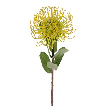 Fleur artificielle Protea BAILY, jaune, 50cm, Ø12cm