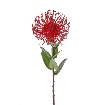 Fleur artificielle Protea BAILY, rouge, 50cm, Ø12cm