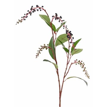 American Kermes berries branch BARRY, baies, noir, 95cm