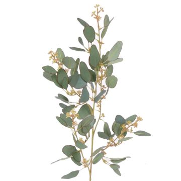Fausse branche d'eucalyptus COBAR avec fleurs, crossdoor, vert, 65cm