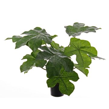 Plante artificielle Jatropha LONY, vert, 50cm