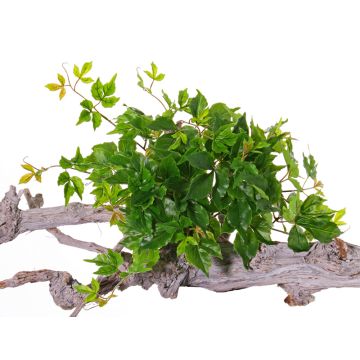 Buisson de vigne artificiel RICCO, piquet, crossdoor, vert, 30cm