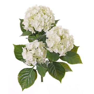 Faux Hortensia SAIRA, piquet, crossdoor, crème, 40cm, Ø11-13cm