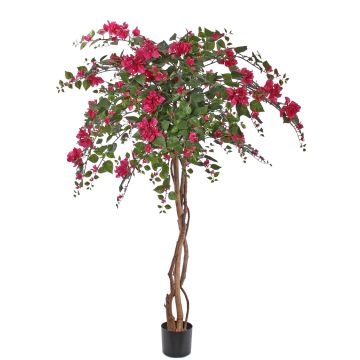 Bougainvillier artificiel OFRA, vraies troncs, fleurs, crossdoor, fuchsia, 180cm