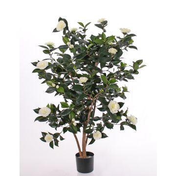 Plante artificielle Camellia Japonica SENTA, vrais troncs, fleurs, crème, 135cm