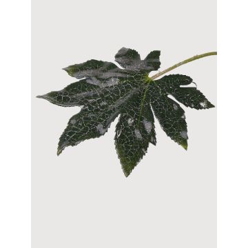 Fausse feuille d'Aralia HERRO, paillettes, vert, 20cm