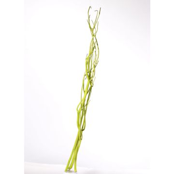 Branches de Mitsumata décoratives GERY, 3 pièces, vert clair, 105cm