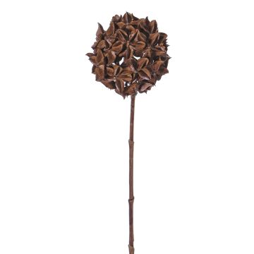 Branche d'anis étoilé artificielle CATBERT, brun, 70cm, Ø10cm