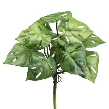 Plante artificielle Philodendron Monstera Adansonii SHIBE, piquet, 29cm
