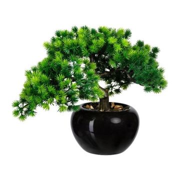 Arbre décoratif Bonsaï mélèze DALUP en pot en céramique, racines, 26cm Arbre décoratif Bonsaï mélèze DALUP en pot en céramique, racines, 26cm