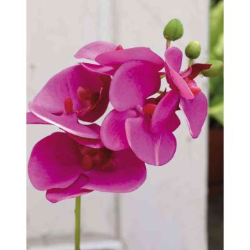 Tige d'orchidée Phalaenopsis artificielle OPHELIA, rose fuchsia, 40cm