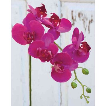 Tige d'orchidée Phalaenopsis artificielle OPHELIA, rose fuchsia, 80cm