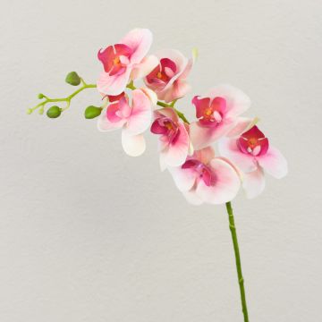 Tige d'orchidée Phalaenopsis artificielle OPHELIA, rose-rose fuchsia, 80cm