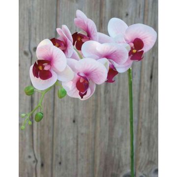 Tige d'orchidée Phalaenopsis artificielle OPHELIA, rose-rose fuchsia, 80cm