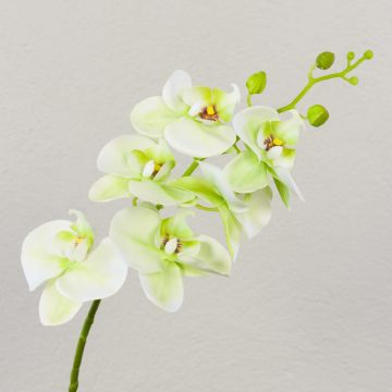 Tige d'orchidée Phalaenopsis artificielle OPHELIA, vert-rose fuchsia, 80cm