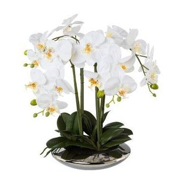 Orchidée Phalaenopsis en tissu MANULO, coupe en céramique argentée, racines, blanc, 40cm