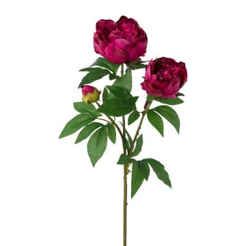Branche décorative Pivoine SLORVE, cerise, 70cm Branche décorative Pivoine SLORVE, cerise, 70cm