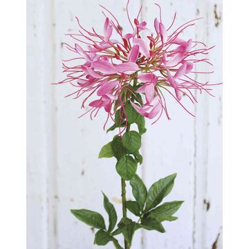 Fleur artificielle Cleome HILDEGARD, rose, 85cm