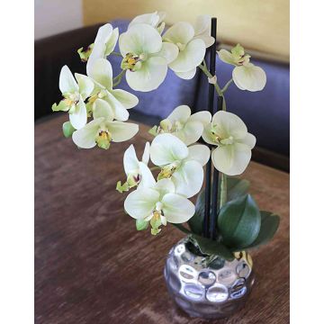 Orchidée artificielle Phalaenopsis EMILIA, cache-pot, crème-vert, 45cm