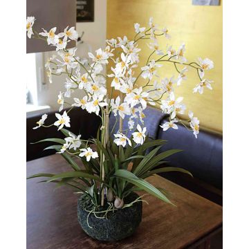 Orchidée Oncidium en tissu AMELINA en motte de terre, crème, 65cm
