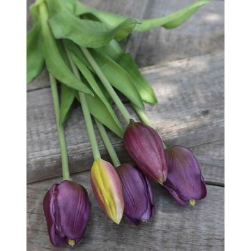 Bouquet de tulipes artificielles LONA, violet-vert, 35cm, Ø15cm