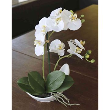 Orchidée Phalaenopsis décorative ZARMINAH dans un coupe en céramique, blanc, 35cm