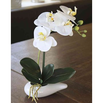 Orchidée Phalaenopsis décorative ZARMINAH dans une coupe en céramique, blanc, 30cm