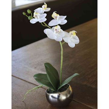 Orchidée Phalaenopsis décorative ZARMINAH en pot en céramique, blanc, 30cm
