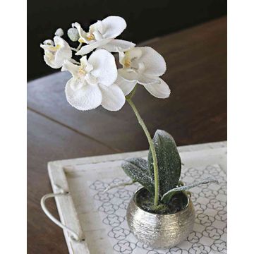 Orchidée Phalaenopsis artificielle KAREN, pot décoratif, givré, blanc, 35cm
