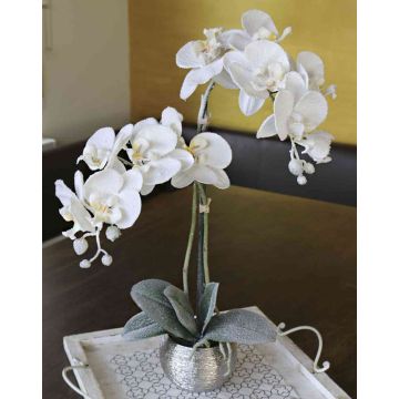 Orchidée Phalaenopsis artificielle KAREN, pot décoratif, givré, blanc, 50cm