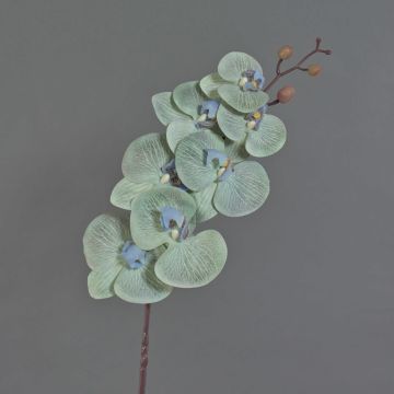 Branche artificielle Orchidée Phalaenopsis LAWANDA, blanc-lilas, 90cm
