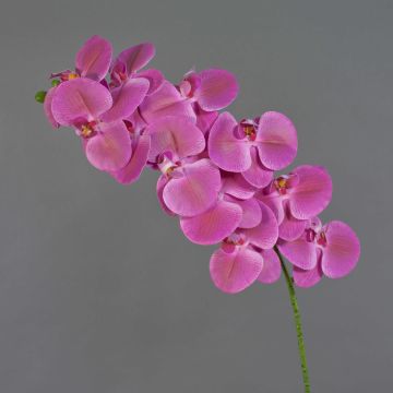 Branche artificielle Orchidée Phalaenopsis XURI, rose fuchsia, 100cm
