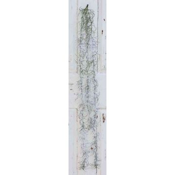 Plante artificielle Tillandsia Usneoides TINNA, sur piquet, enneigé, vert-blanc, 100cm