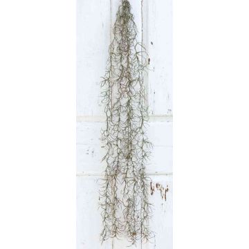 Tillandsia usneoides artificiel CEVIN, piquet, vert, 100cm