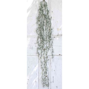 Tillandsia usneoides artificiel DARLIN, piquet, vert, 120cm