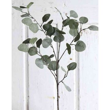 Branche d'eucalyptus artificielle AMADEUS, vert, 75cm