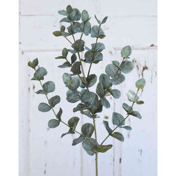 Branche d'eucalyptus artificielle INGOLF, vert-gris, 75cm