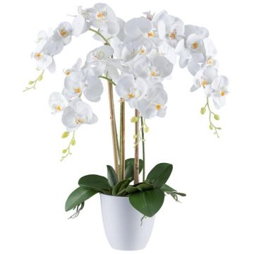 Fleur décorative Orchidée Phalaenopsis BLENTOR dans un cache-pot en mélamine, racines, blanc, 60cm