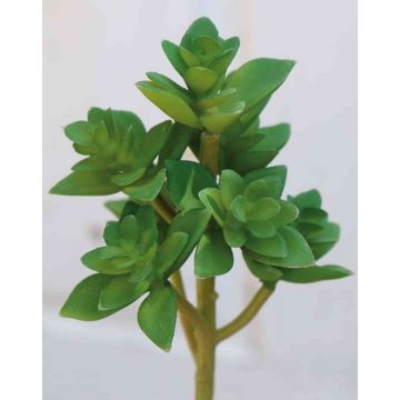 Echeveria gibbiflora artificiel TROY, piquet, vert, 17cm