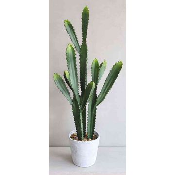Cactus colonne CLYDE, pot en béton, vert, 85cm
